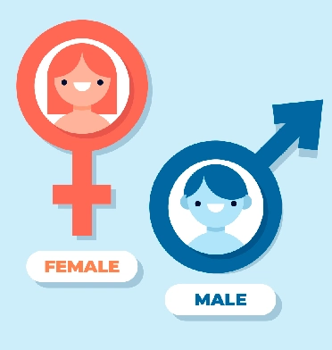 Gender Reassignment Female to Male Surgeon