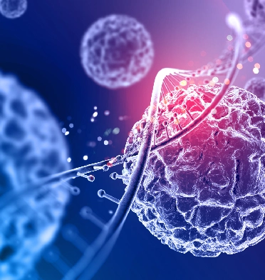 Gender Reassignment Female to Male Surgeon